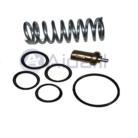 2205490591 Thermostat Valve Kit Core Repair Par