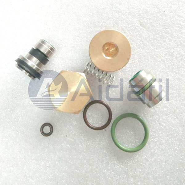 Intake Valve Kit 2205490431